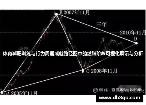 体育减肥训练与行为周期成就路径图中的燃脂阶段可视化展示与分析